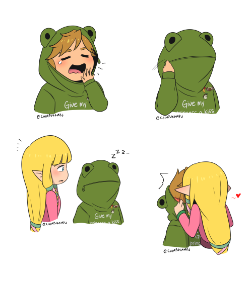 We had a frog hoodie art collab in Zelink Discord server where we choose which Links should wear it 