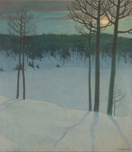 catonhottinroof:    Väinö Blomstedt (1871 - 1947)Winter landscape in moonlight