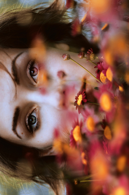 lyricalsycamore:  ~Nature Blog~ 