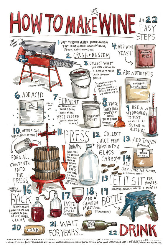 explore-blog:
“ How to Make Wine – an illustrated guide by the one and only Wendy MacNaughton.
”
Happy weekend!