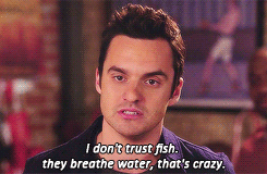stevensrogres:  Endless list of my favourite fictional characters ⟶ Nick Miller [New Girl]  ↳ “Nick Miller, turning lemonade into lemons since 1981.” 