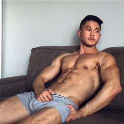 Gay Asian Muscle Paradise