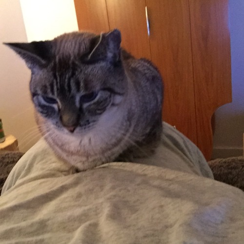 Monkey On My Back. Mimi.