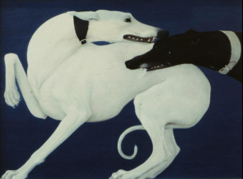 felixinclusis:sadean1‌: Black dog biting white dog Whyn Lewis