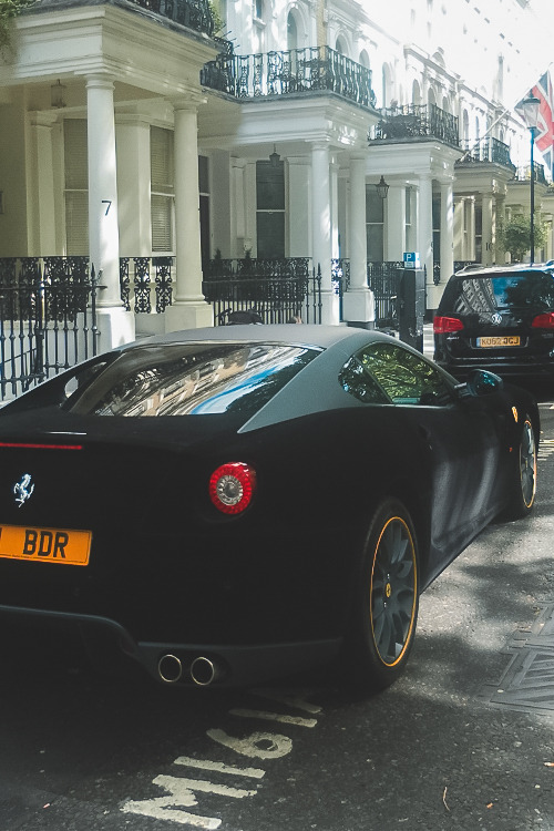 fuckyeahbestcars:  Velvet wrapped Ford GT  Ford GT? Fucking really? Do you not see that goddamn horse on the fucking car??? Maybe I’m an idiot but I’ve never seen a with a fucking horse on it. Especially not one with an uncanny resemblance