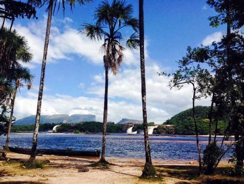 theeyeoftroy: Canaima lagoon, Venezuela. Photography by D.G. Copyright 2016 Troy De Chi. All rights 