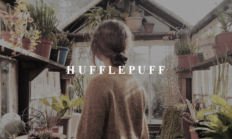 vertaserum:  4/4 latin sayings and houses hufflepuff - ubi mel ibi apes “where