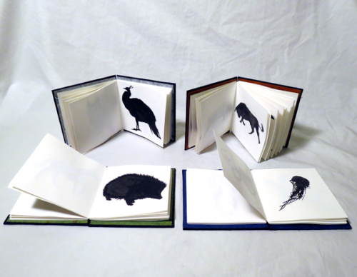 This is the guessing game book series that I made for my final last year in bookmaking. Each book ha