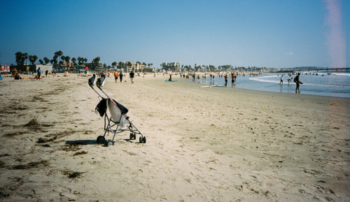 Venice Beach, Summer 2017