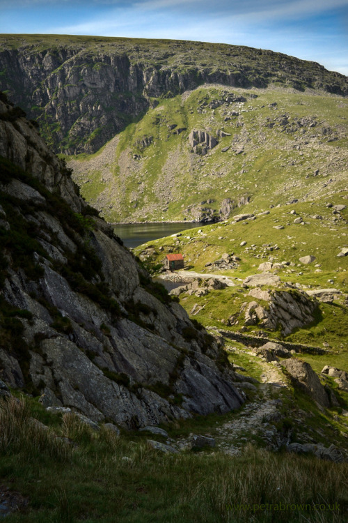 mydododied:Little red roof