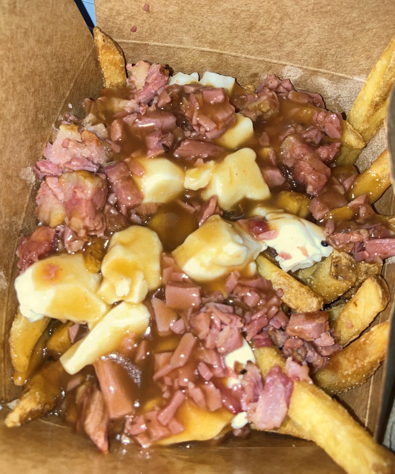 #smoked meat poutine #stadium food#Montreal food#Centre Bell#Montreal#Quebec#Canada