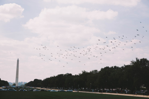 I recently went to Washington DC and captured a lot of exciting landmarks and interesting people, so