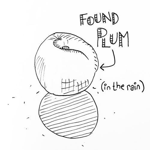 100 Lost Things 2020 - 3: Lone Plum (Wolverhampton)Looking for the lost <3