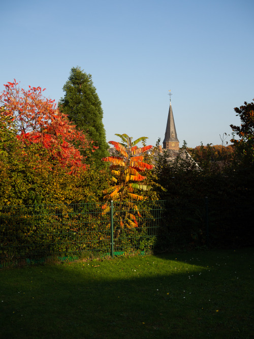 waidwund:  golden villageness autumn in the far west of germany // 10-2017  