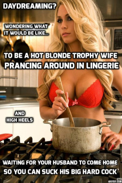 bimboabby:  For all of my non-bimbo trophy wife female and sissy followers, i can tell you it is the best thing in the world.  i love every moment of it.  i do not know why any girl would not want to be a trophy wife!