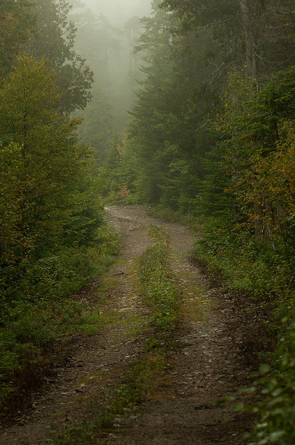 tulipnight:Old Road by David McCudden on Flickr.