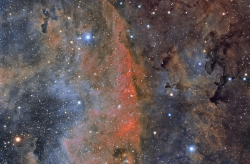 the-wolf-and-moon:  Rainbow Wings Of Cygnus