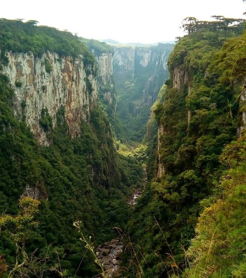 Belezas naturais do sul (em Cânion Itaimbezinho)www.instagram.com/p/Br6MIAnAoag8BPiqvK