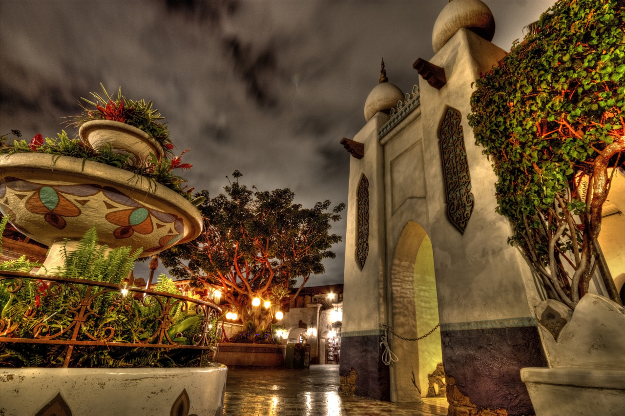 chrisalcoran:  Disneyland/DCA at night. 