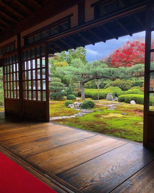 東福寺 一華院庭園 [ 京都市東山区 ] Tofukuji Ikkain Temple Garden, Kyoto の写真・記事を更新しました。 ーー #重森千靑 作庭の石庭を含む３つの現代の枯山水庭