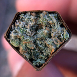 thatsgoodweed:  Diamond Life