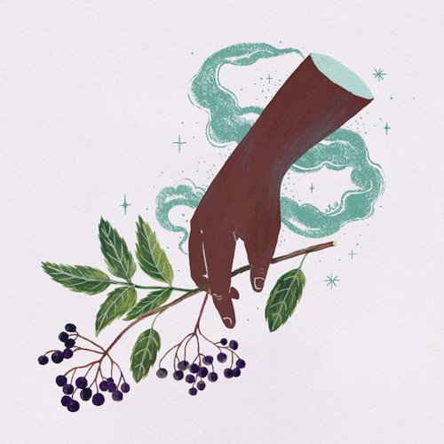 Herbal Hands