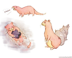 ommanyte:  I like to think of the slowpoke family as a bunch of lazy giant otters with an affinity for shellfish.  Look at these lame pink nerds 