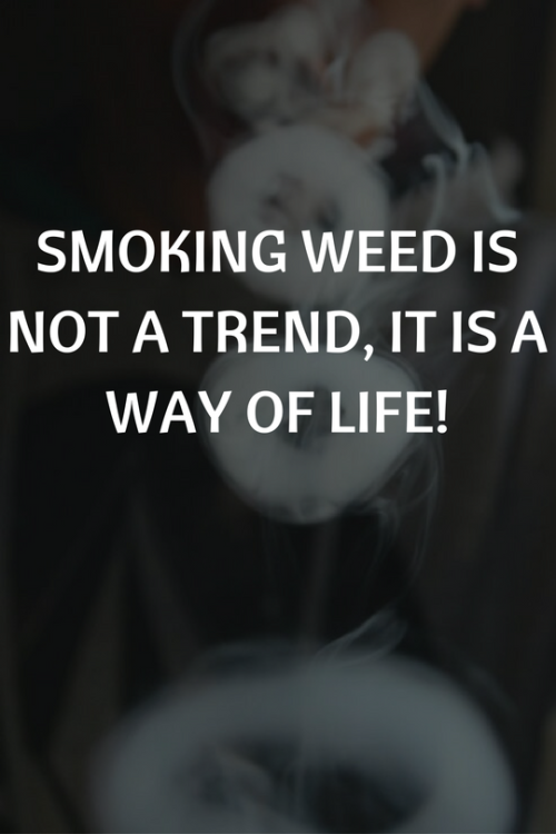 stonedmemes: Do not smoke weed to be cool and show off, smoke it to feel yourself. You never know ho