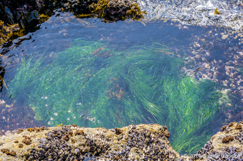 7.7.2014 - day 5 on the West Coast Trail#BC #Canada #VancouverIsland #WestCoastTrailPortfolio - Blog