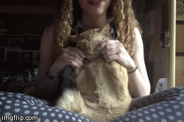 thc-kittyy:  peek a boo! 