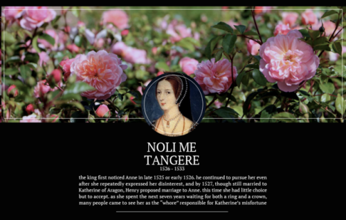 peremadeleine: Anne Boleyn, Queen of England If any person will meddle of my cause, I require them t