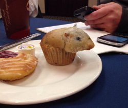 kostyantyn:  why would you bake a guinea pig into a muffin you monster?!?