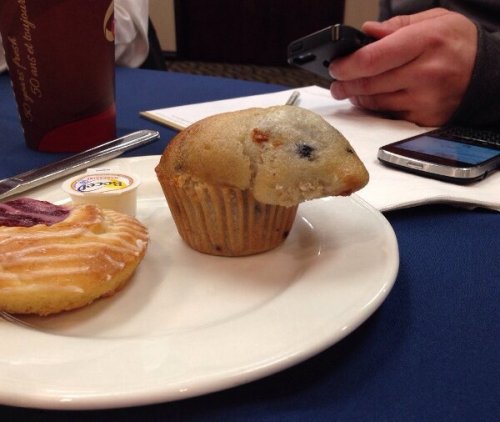 death-by-lulz: why would you bake a guinea pig into a muffin you monster?!?