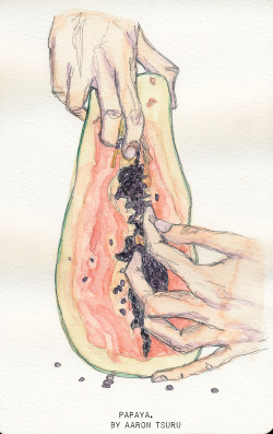 tsurufoto:  papaya. watercolor &amp; illustration by aaron tsuru 