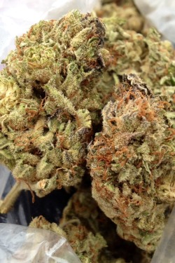 thc-thehappychemical:  Bitta green