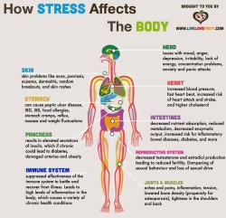 emt-monster:Listen to your body. Not everybody recognizes how stress feels.
