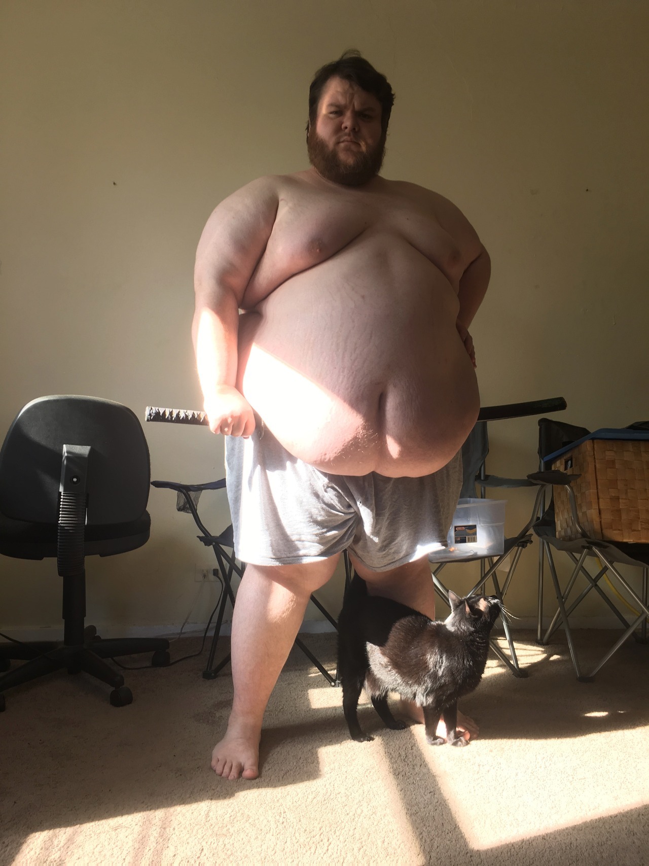 shiftshady:  fatbestfriend: Somebody asked if I could hide things under my belly
