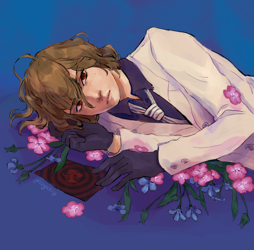 daydream in blue / forget me not