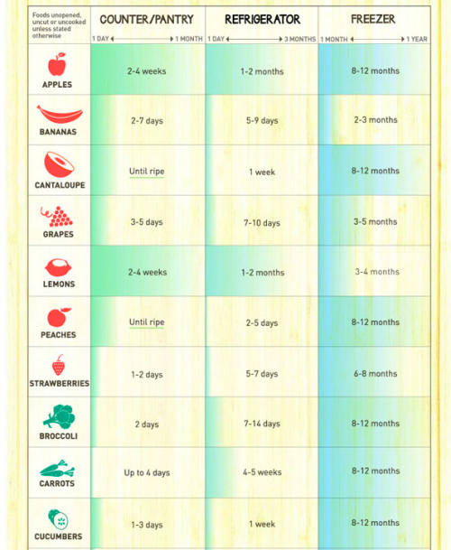 the-more-u-know:  A good chart to show hold long your vegetables, fruit and… other stuff would stay fresh for. Brought to you by visual.ly, a place with a TON of infographics, maybe the biggest on the web.  [More Health Infographics Here]Follow us