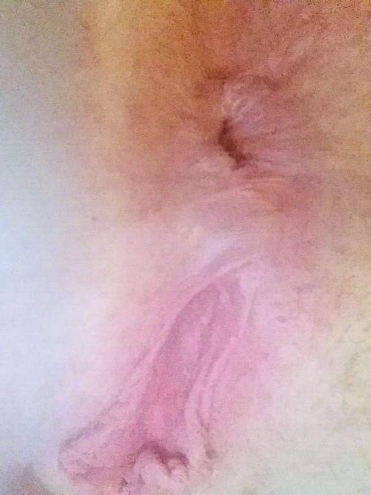 ASS Ò.ó