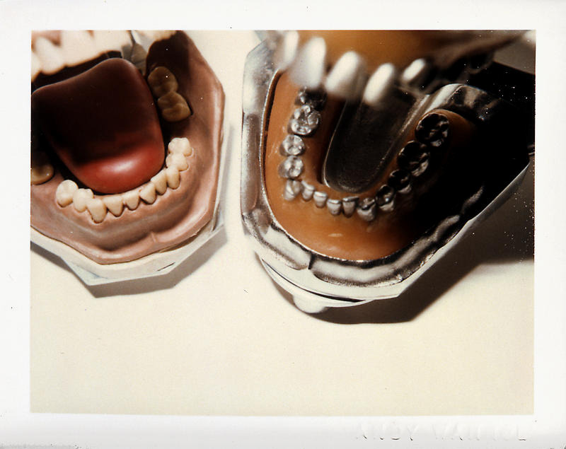 likeafieldmouse:  Andy Warhol - Still-life Polaroids (1977-83) “Warhol used photography