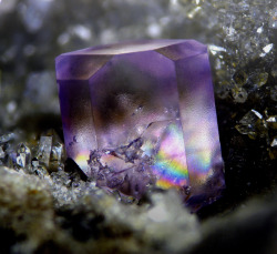 mineralogy-porn:  Stunning Fluorite specimen