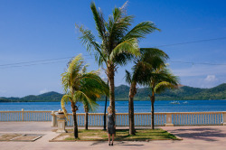Farewell Palms photo by Edric Chen, model