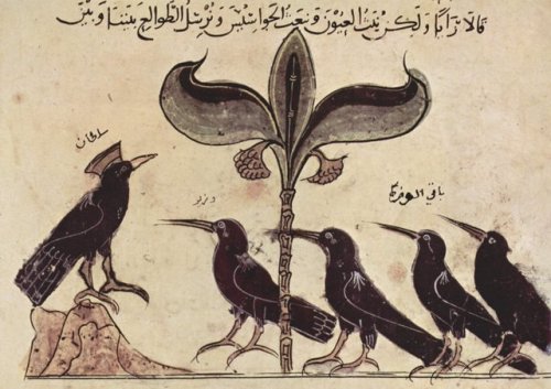 The crow king and his advisors