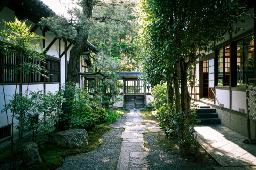 ourbedtimedreams: Zen Garden in Shoren-in (青蓮院) Kyoto (京都) Japan by TOTORORO.RORO on Flickr.