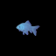 seaoddities
