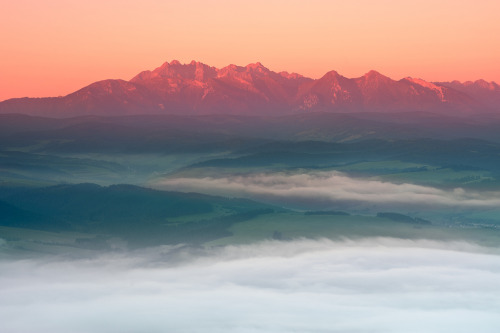 lvndcity:  Dariusz W