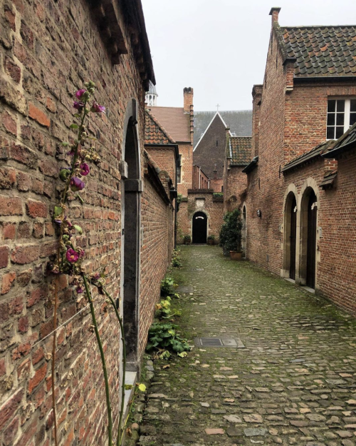 Beguinage, Antwerp (est. 1544).