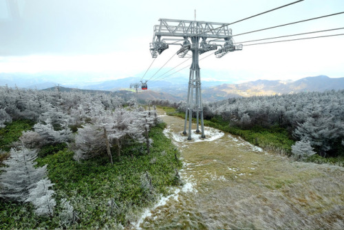 山形県 蔵王 / 地蔵山 by ansel.ma flic.kr/p/SMBAHa