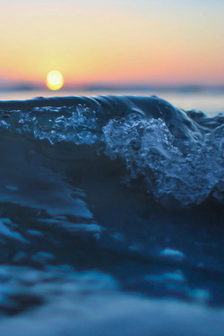 plasmatics:  The Wave | By Courtney D   